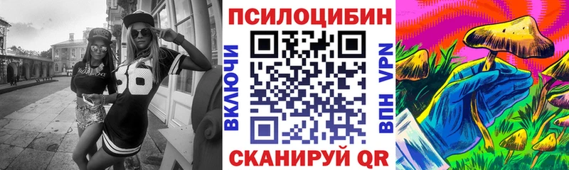 Купить  Мезень  Галлюциногенные грибы Psilocybine cubensis 